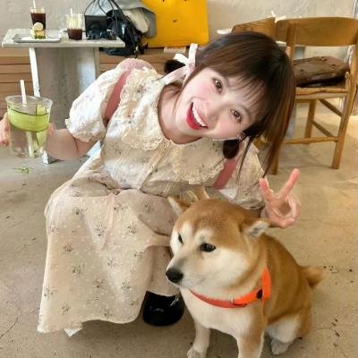 拳力以赴的我们